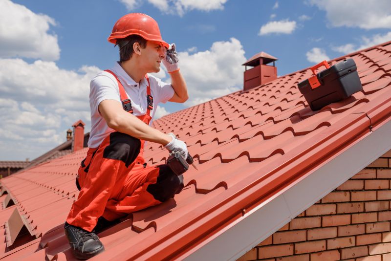 Roof Repair Expertise